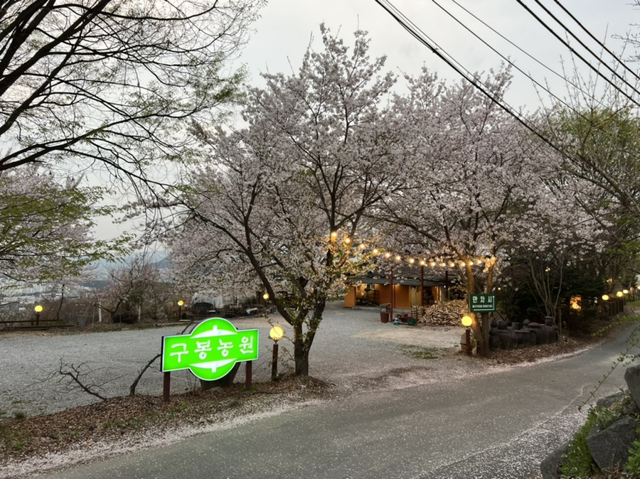 토담농원 이미지