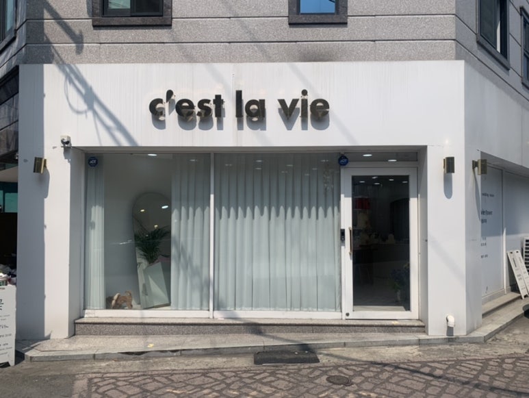 셀라비플라워 이미지
