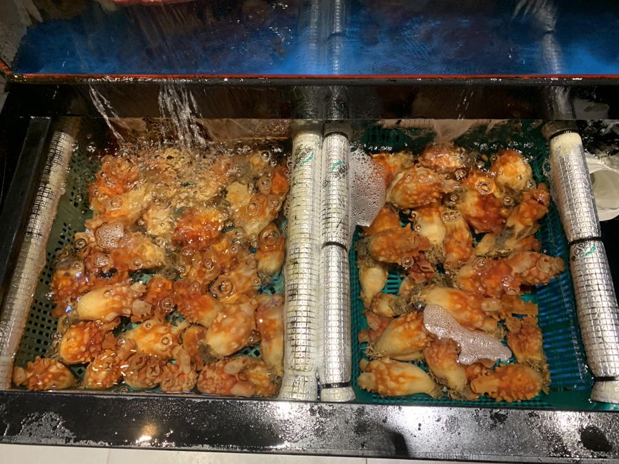 독도회수산 이미지