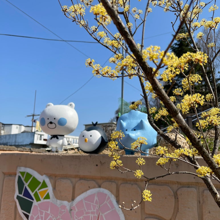 마을야영장, 침산추월 이미지