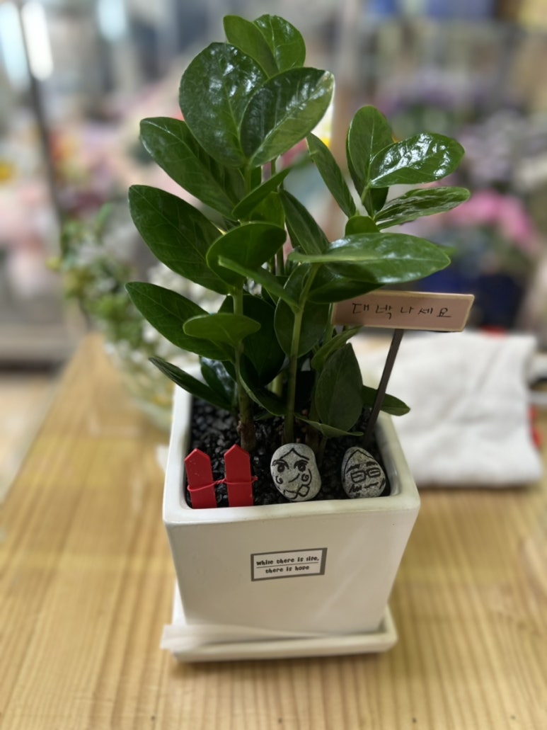 예스미꽃방 이미지