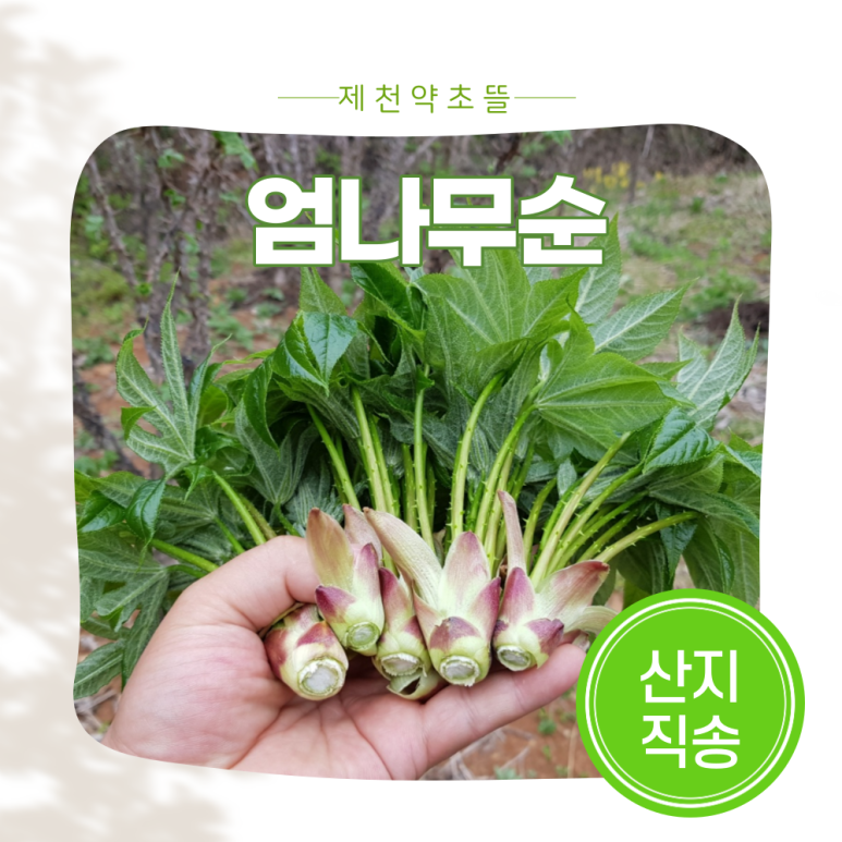 제천약초뜰 이미지