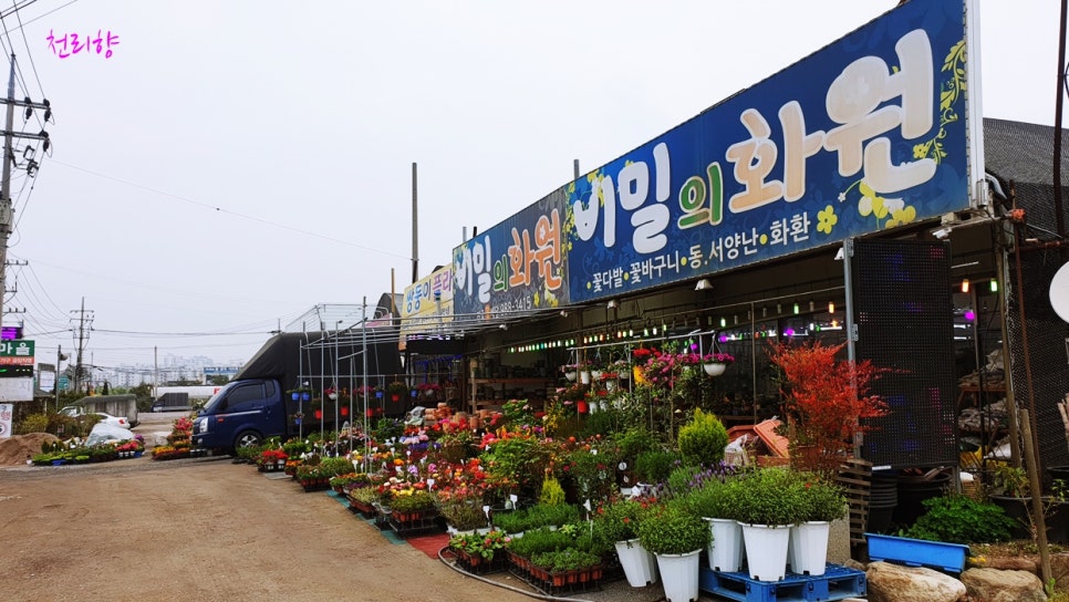 꽃향기를가꾸는남자 이미지