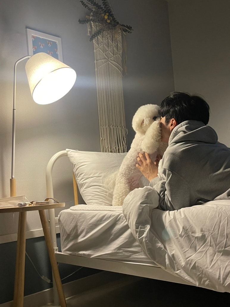 슈가몽 이미지