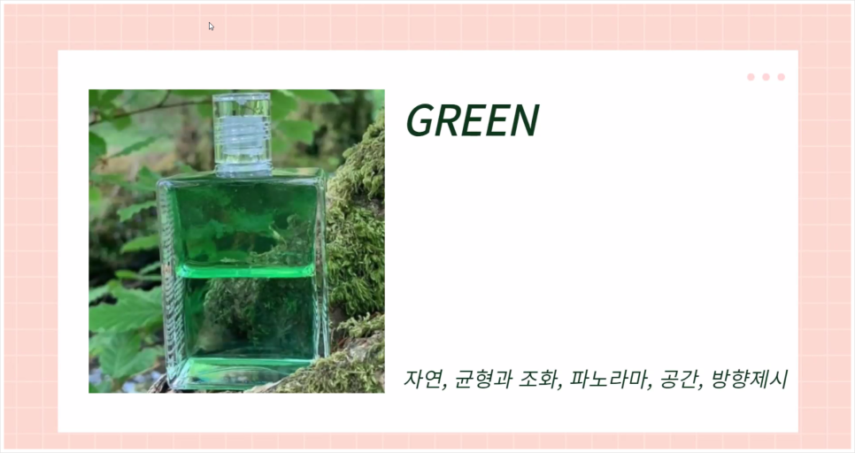 멍편한세상 이미지