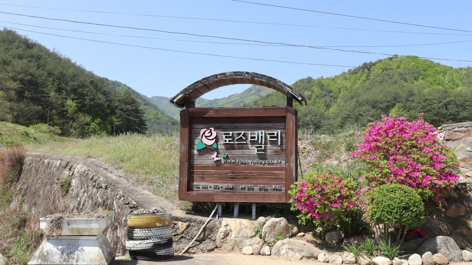 525펜션 이미지
