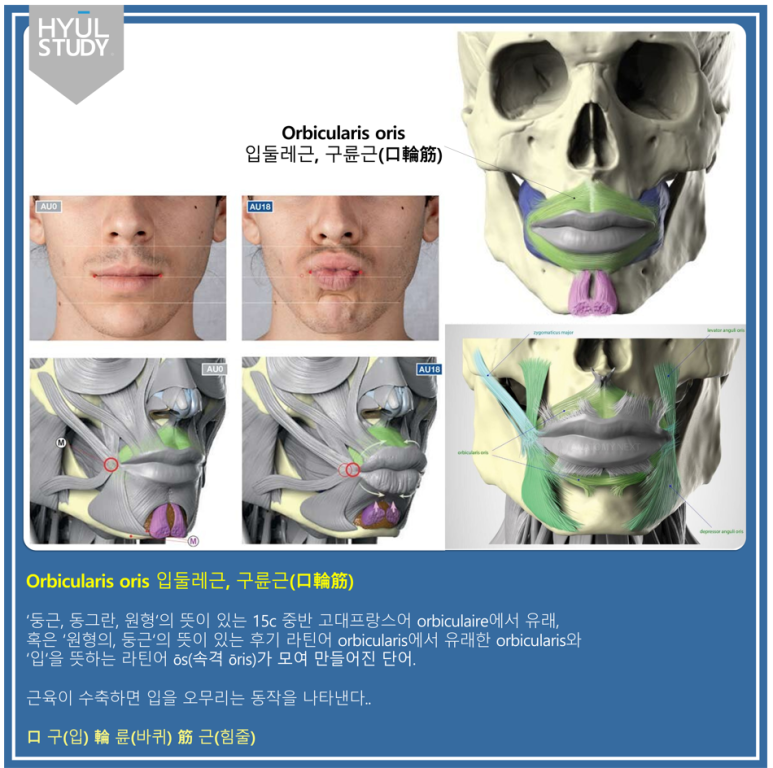 윤*근 이미지