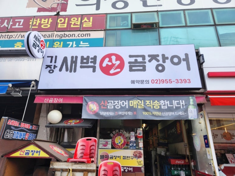 기장새벽왕곰장어 이미지