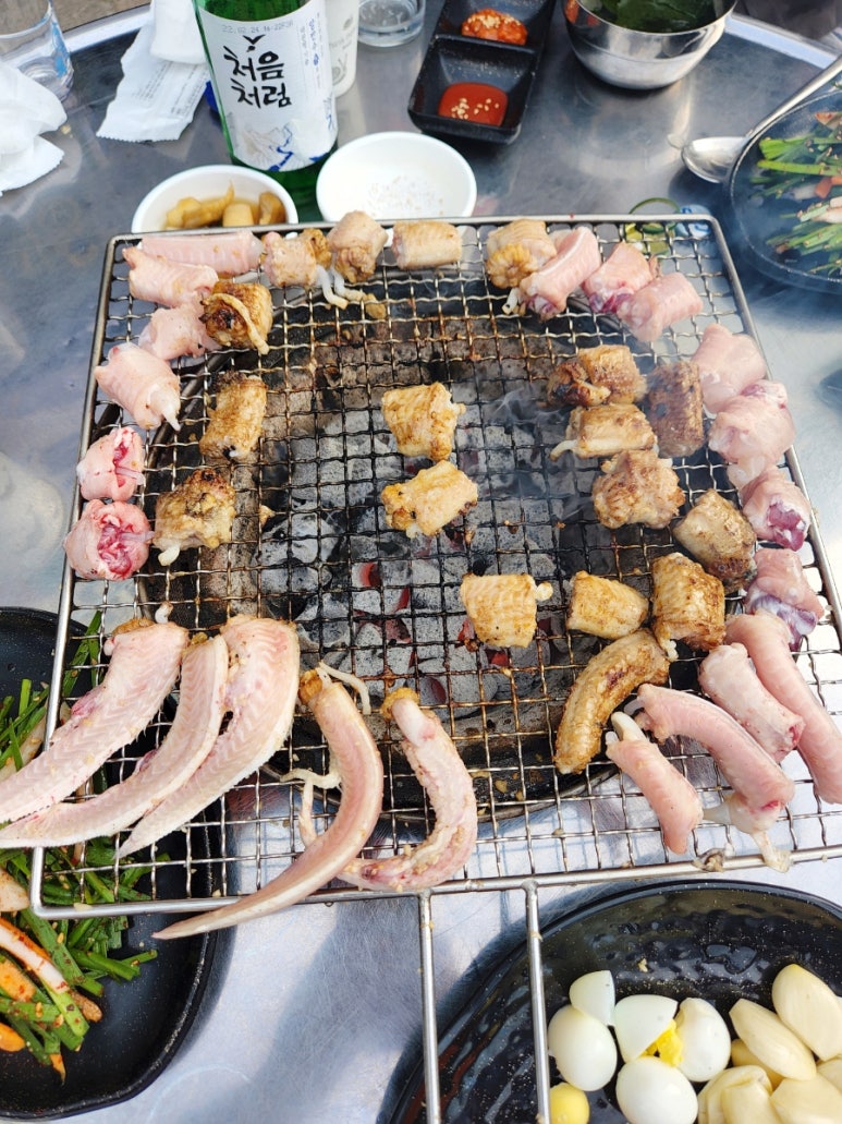 기장새벽왕곰장어 이미지