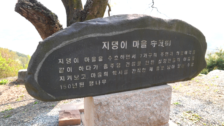 드림숲 이미지