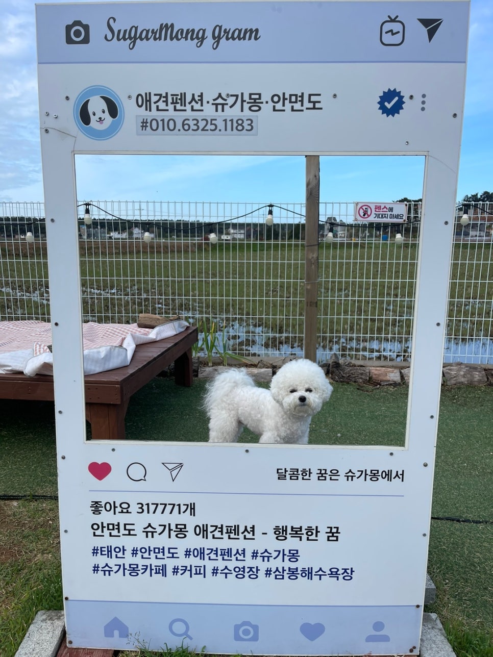 슈가몽 이미지