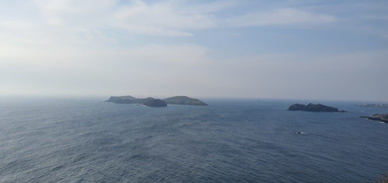 옹포바다이야기 이미지