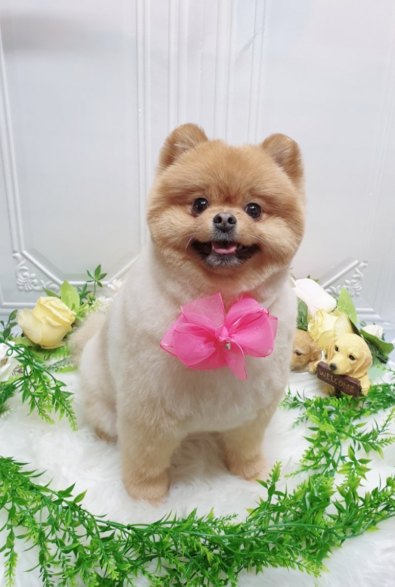 예쁜미용 이미지