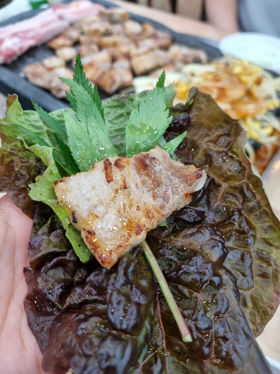언양 복돼지 이미지