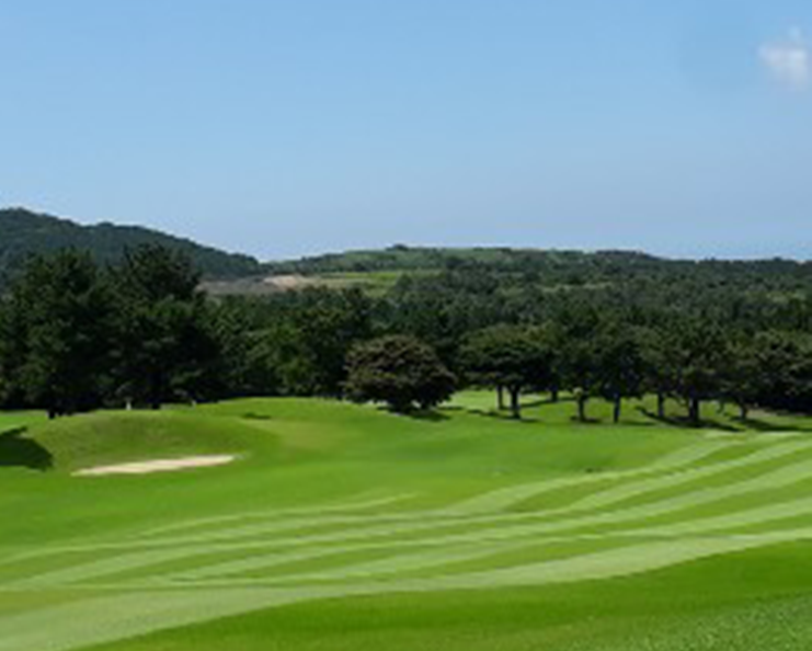 (주)캐슬렉스제주 이미지