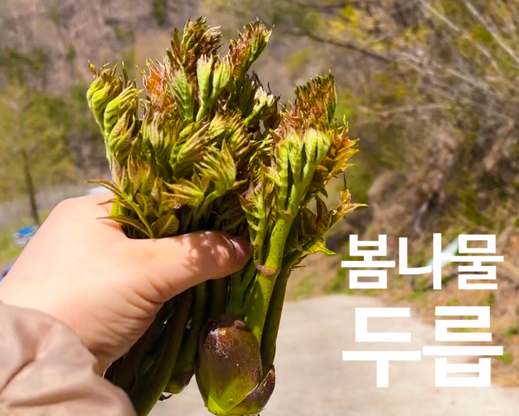 두아네일 이미지