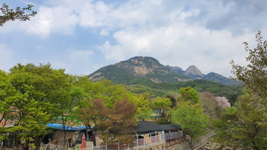 갤러리카페보라식당 이미지