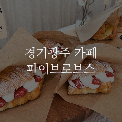 파이브로브스 이미지
