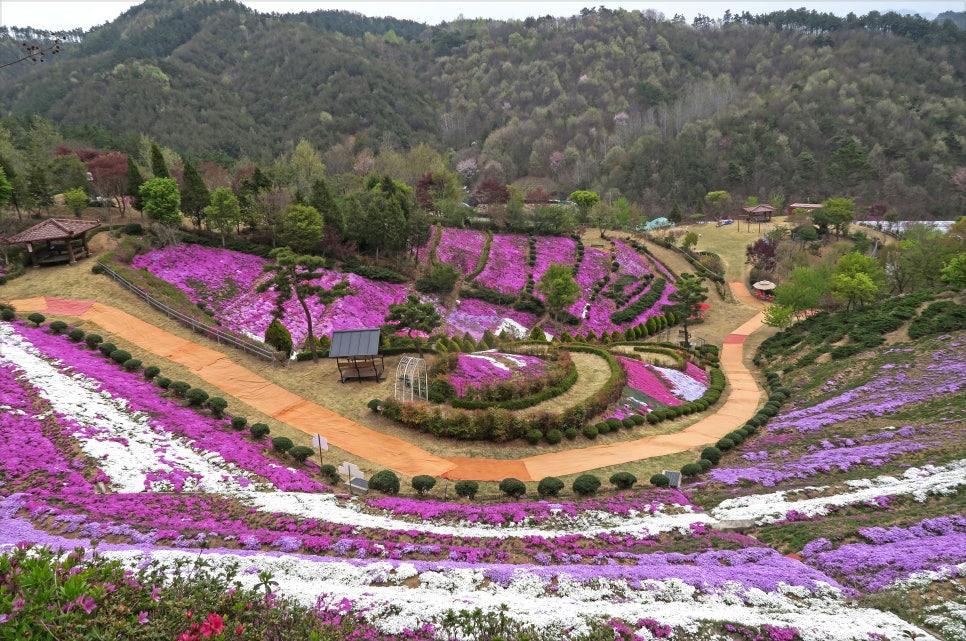 동산잔디 이미지