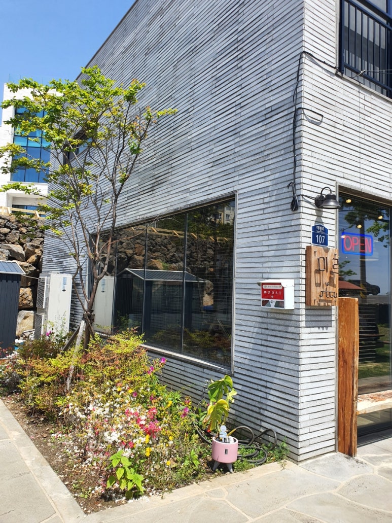 미르반점 이미지