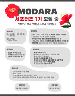 본모다 이미지