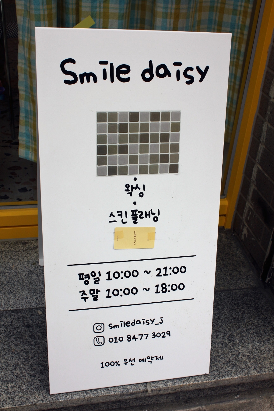 스마일데이지(Smile Daisy) 이미지