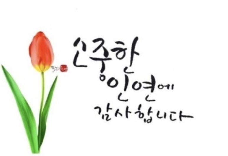 원더플 주식회사 이미지