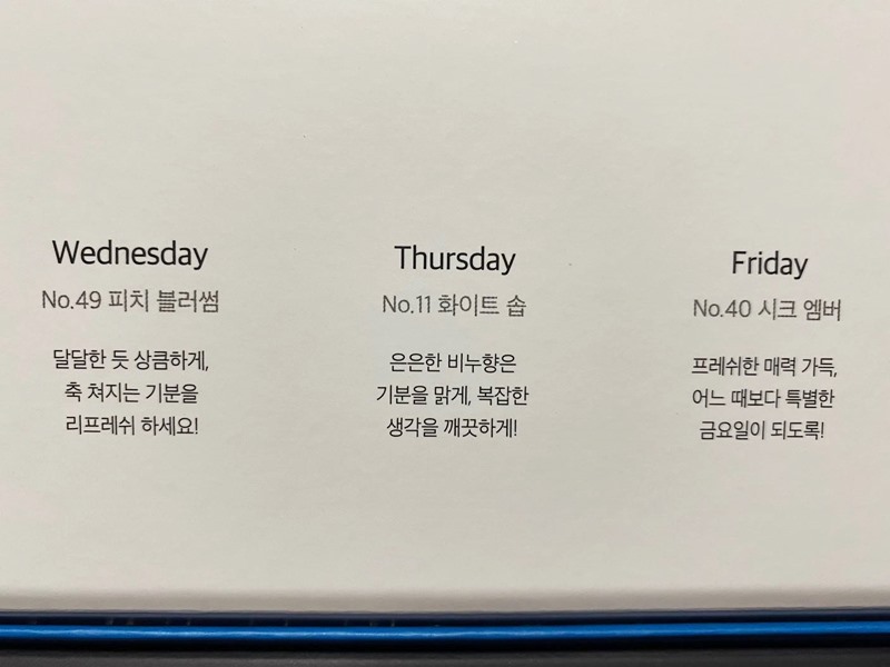 디스커버리더블유 이미지