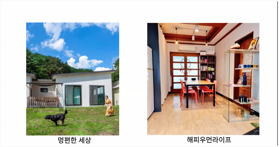멍편한세상 이미지
