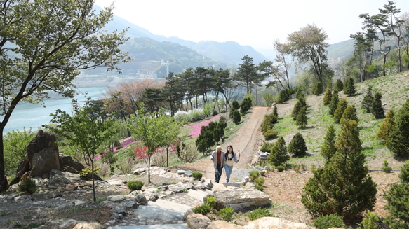 드림숲 이미지