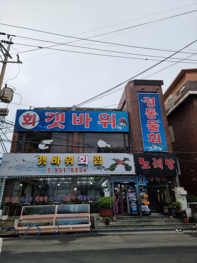 갯바위회타운 이미지