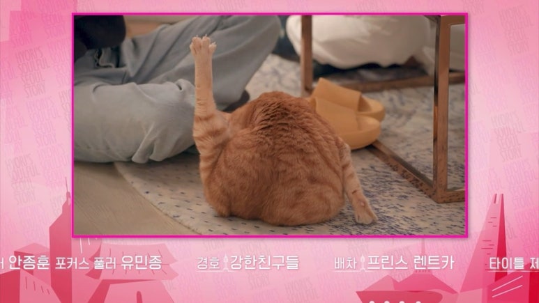 홀리몰리 이미지