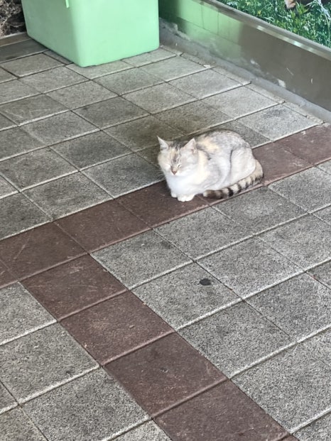 새암정 이미지