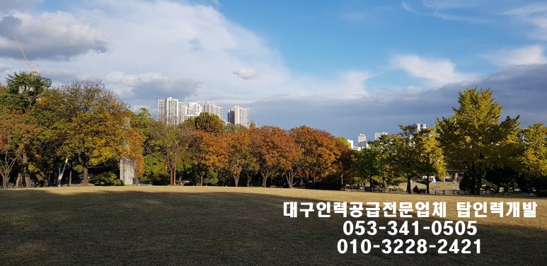 탑 직업소개소 이미지