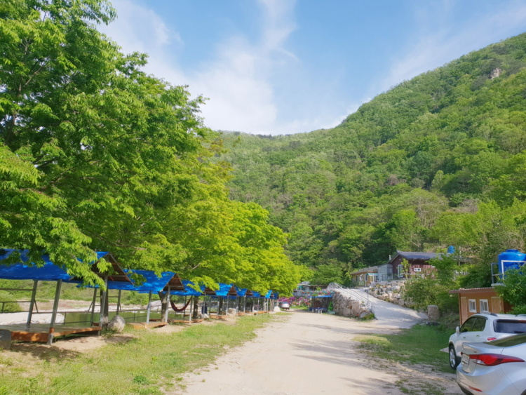 피노와인 이미지