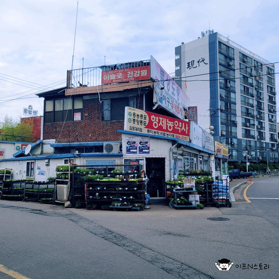 한농종묘 이미지