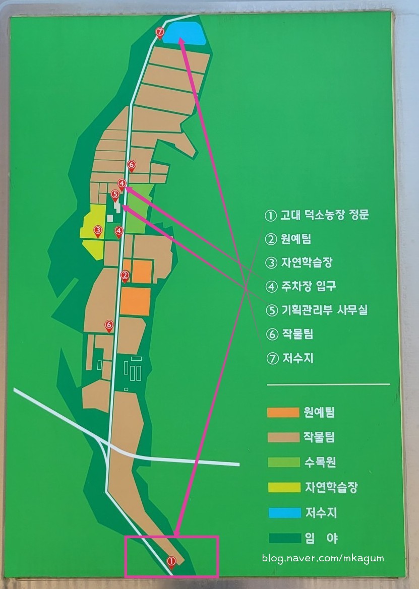 고려대학교 덕소농장 이미지