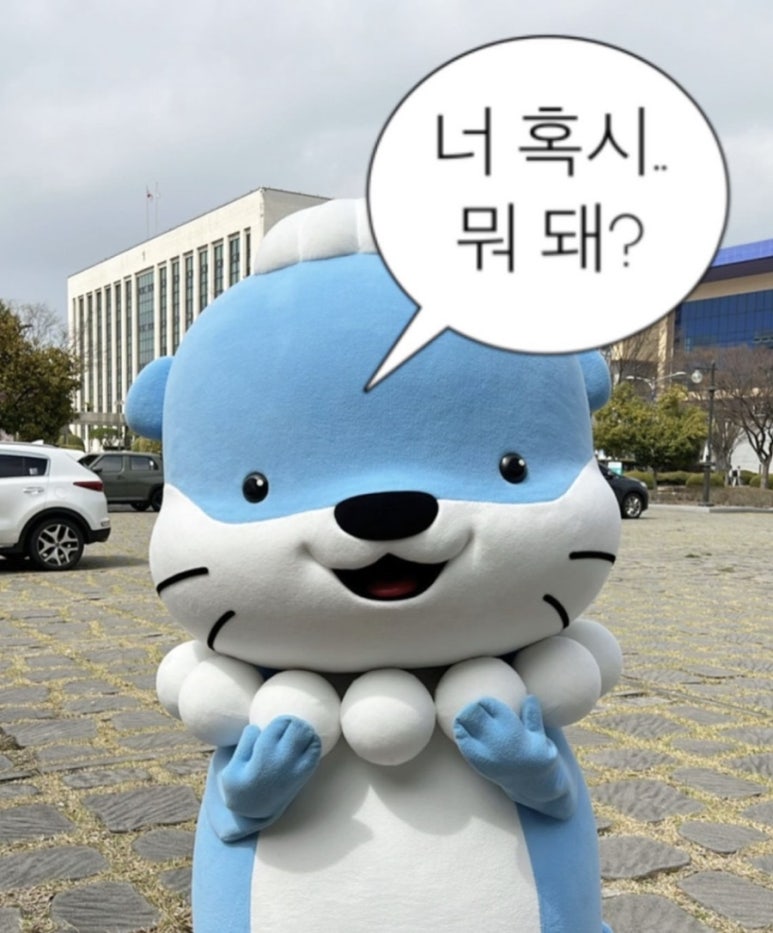 척척박사 이미지