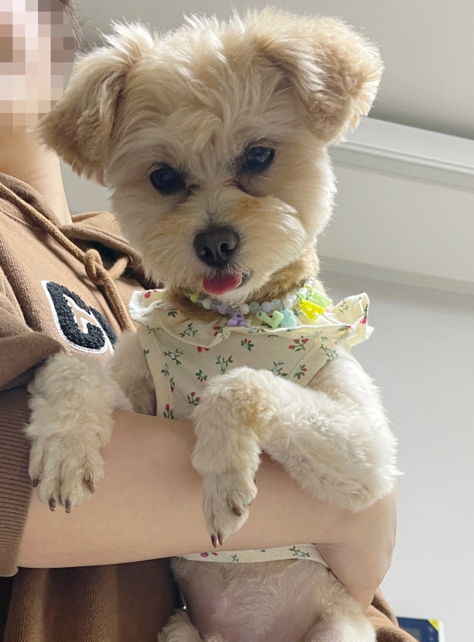 동대문엽기볶이 이미지