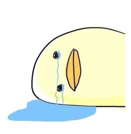 단골꽃집 이미지