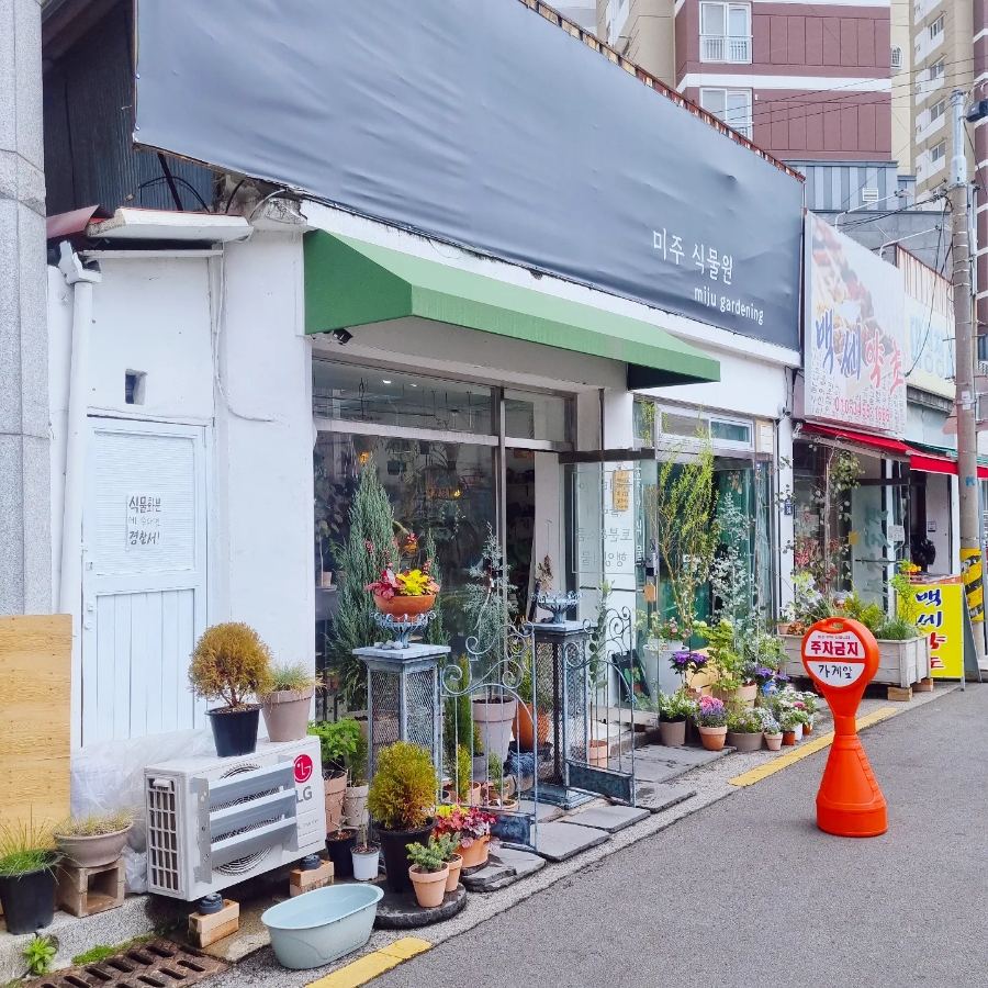 미주보타닉 이미지
