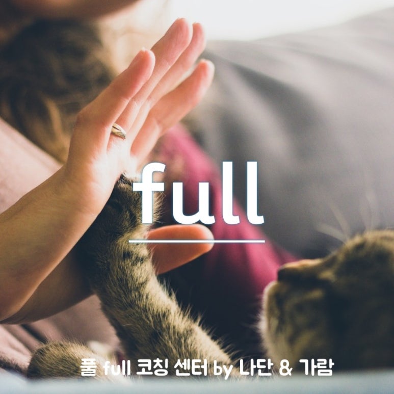 풀full코칭센타 이미지