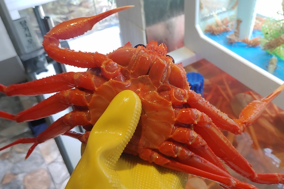 수영수산 이미지