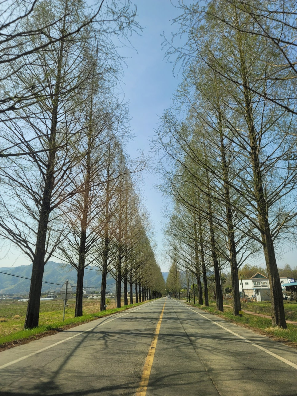 도림사계곡민박 이미지