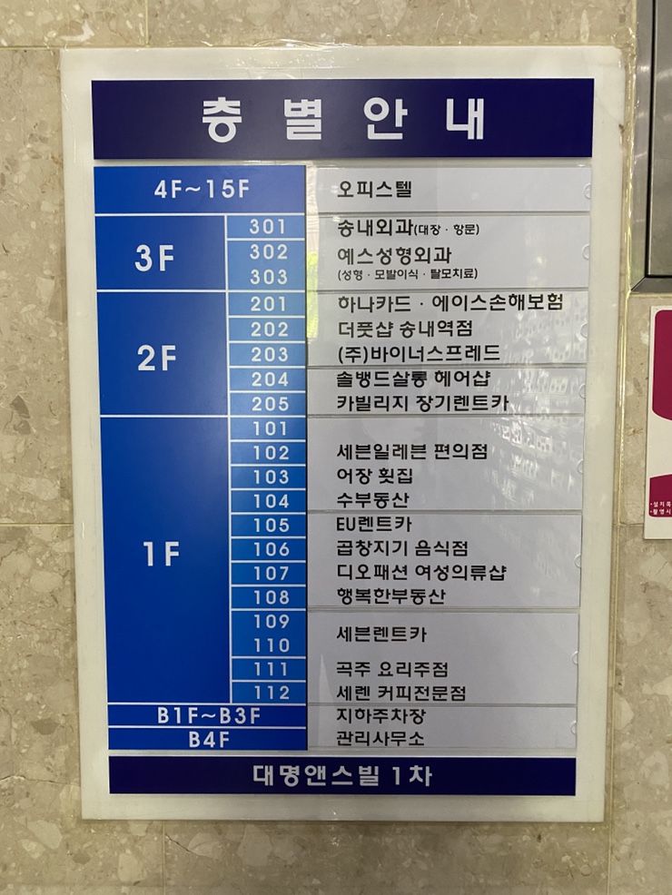 솔뱅드살롱 이미지
