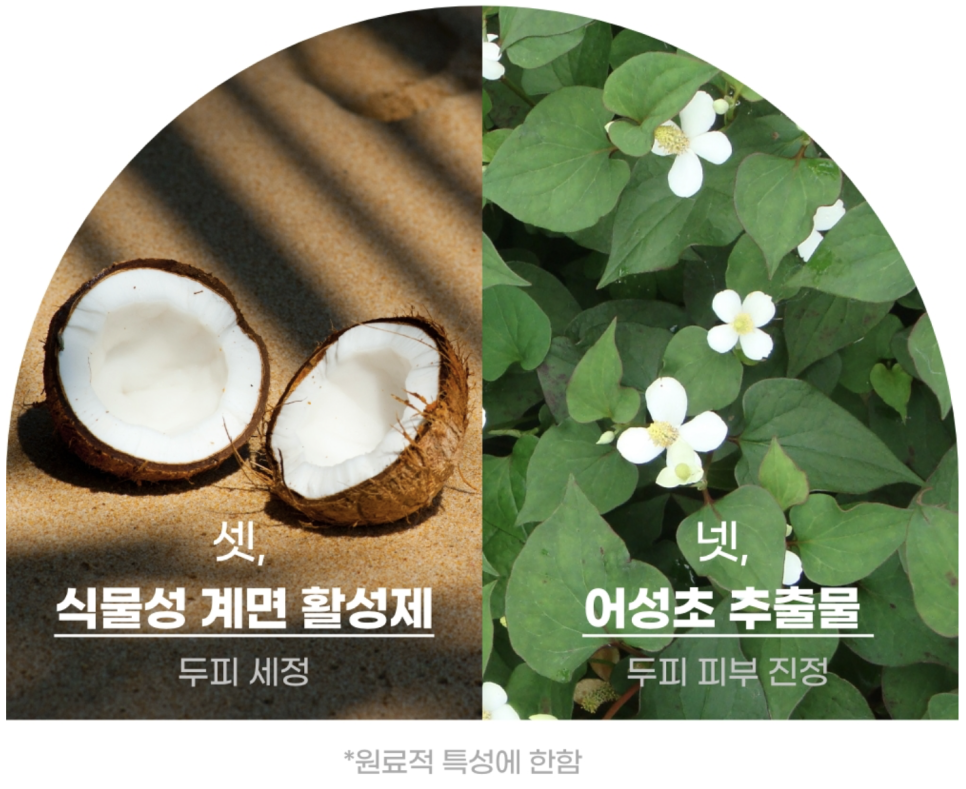 구뜨홈 이미지