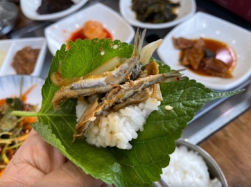 소나무정 이미지