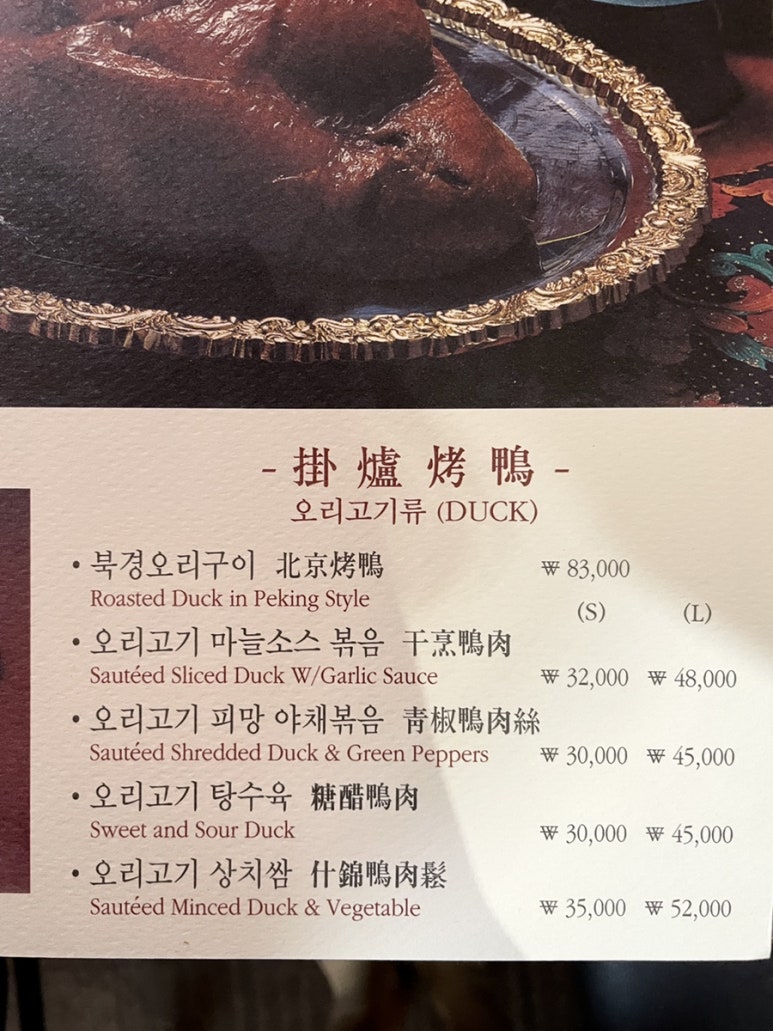 베이징코야주 이미지