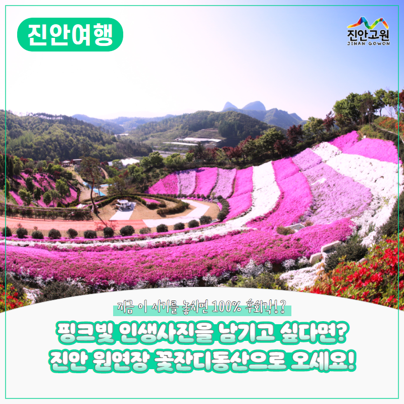 동산잔디 이미지