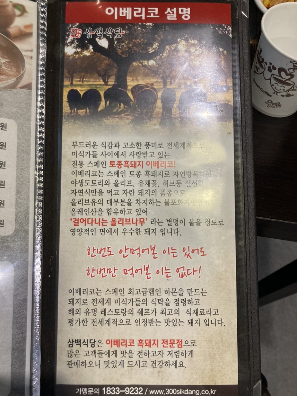 삼백문구 이미지